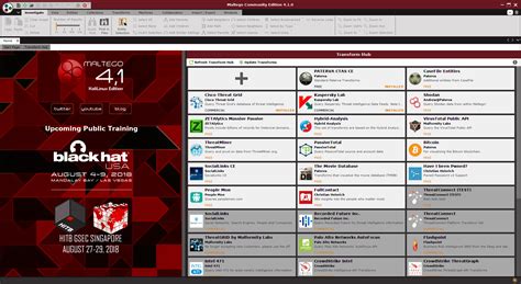 Download Maltego 4.2.11.13104 XL